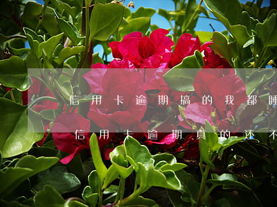 信用卡逾期搞的我都睡不着觉-哈尔滨银行信用卡逾期真的还不上怎么办