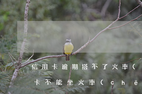 信用卡逾期搭不了火車(chē)-欠信用卡不能坐火車(chē)嗎