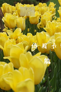 信用卡逾期撤訴要交多少錢 被信用卡起訴后還能協(xié)商減免費(fèi)用嗎