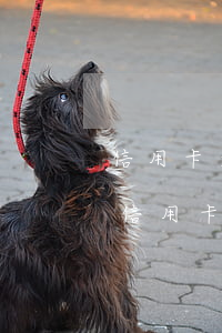 信用卡逾期撤訴費(fèi)用 逾期后注銷信用卡后果嚴(yán)重