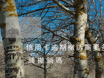 信用卡逾期撤訴需要多久(信用卡逾期可以申請撤銷嗎)
