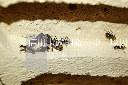信用卡逾期撤銷申請原因填寫-逾期撤銷申請書怎么寫
