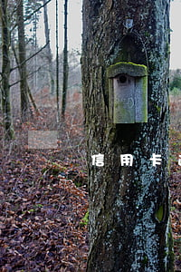 信用卡逾期撤銷申請表(處理逾期信用卡)