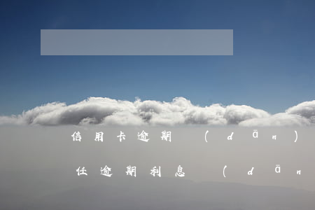 信用卡逾期擔(dān)保人的責(zé)任(逾期利息擔(dān)保人是否承擔(dān)責(zé)任?)