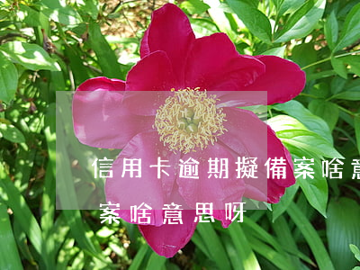信用卡逾期擬備案啥意思-信用卡逾期擬備案啥意思呀