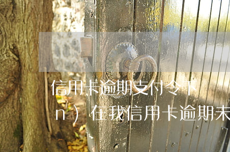 信用卡逾期支付令下來無力償還(現(xiàn)在我信用卡逾期未還)