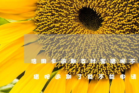 信用卡逾期支付宝借呗不能用了(支付宝上的借呗逾期了能不能申请信用卡)