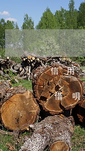 信用卡逾期支付寶借唄不能用了(支付寶上的借唄逾期了能不能申請(qǐng)信用卡)