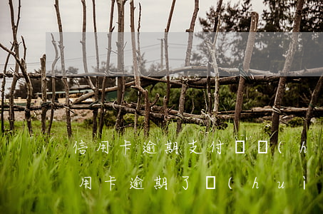 信用卡逾期支付寶會(huì)被停用(我信用卡逾期了會(huì)不會(huì)影響支付寶的使用)