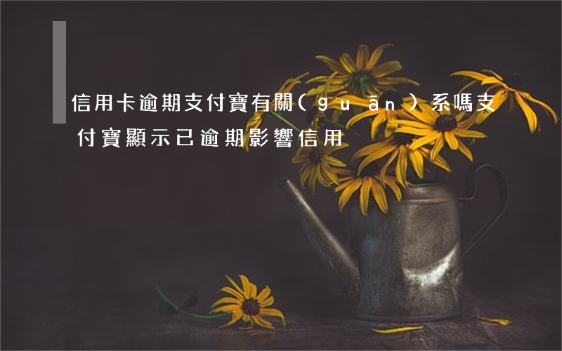 信用卡逾期支付寶有關(guān)系嗎(支付寶顯示已逾期影響信用)