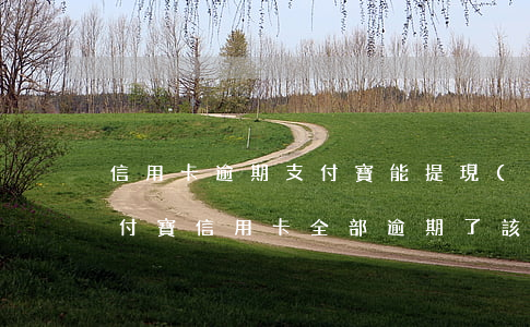 信用卡逾期支付寶能提現(xiàn)嗎(支付寶信用卡全部逾期了該怎么辦)