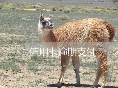 信用卡逾期支付寶還不進(jìn)去