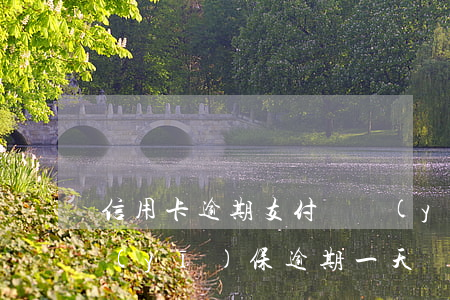 信用卡逾期支付寶醫(yī)保(支付寶好醫(yī)保逾期一天)