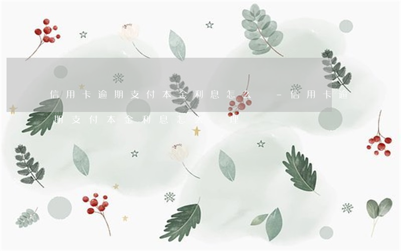 信用卡逾期支付本金利息怎么辦-信用卡逾期支付本金利息怎么辦理