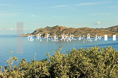 信用卡逾期收利息和滯納金
