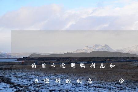 信用卡逾期收利息和違約金(被拘留期間信用卡逾期的利息違約金)