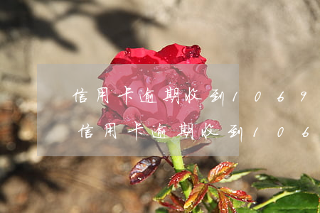 信用卡逾期收到1069的短信是真的嗎-信用卡逾期收到1069的短信是真的嗎嗎