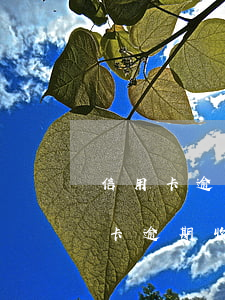 信用卡逾期收到106短信是真的吗-信用卡逾期收到106短信是真的吗吗