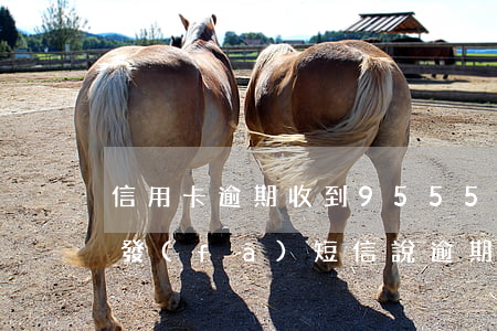信用卡逾期收到95555短信(95574發(fā)短信說逾期)