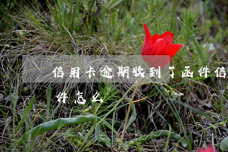 信用卡逾期收到了函件(信用卡逾期收到了函件怎么辦)
