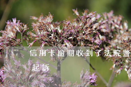 信用卡逾期收到了法院警告(欠信用卡逾期被起訴)
