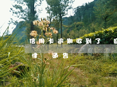 信用卡逾期收到了開庭郵件(信用卡 逾期 收到 律師 通告)