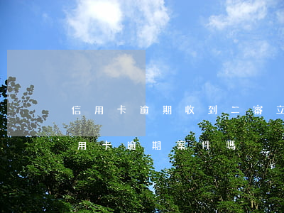 信用卡逾期收到二審立案短信(公安局受理信用卡逾期案件嗎)