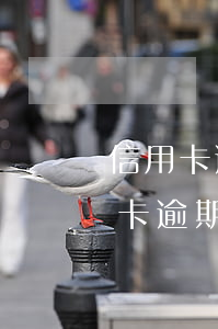 信用卡逾期收到传票了还不上怎么办-信用卡逾期收到传票了还不上怎么办呢