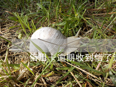信用卡逾期收到信了(沒注意信用卡逾期了)