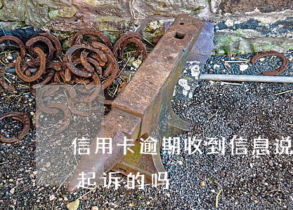 信用卡逾期收到信息说起诉(有信用卡逾期被起诉的吗)