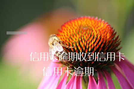 信用卡逾期收到信用卡貸的短信-收到信息說信用卡逾期