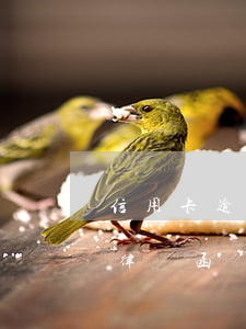 信用卡逾期收到假律師函(信用卡逾期收到假律師函)
