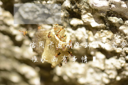 信用卡逾期收到催收函多久會上門(逾期收到催收函有事情嗎)