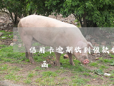 信用卡逾期收到催款律師函(逾期付款催款律師函)