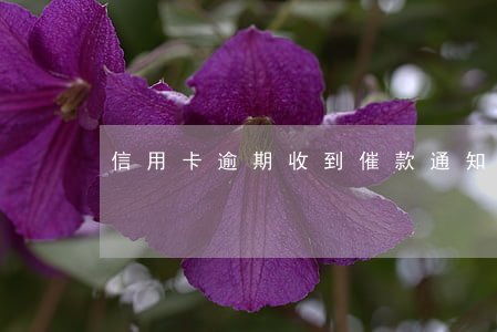 信用卡逾期收到催款通知怎么辦