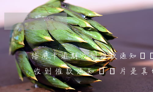 信用卡逾期收到催款通知書圖片(信用卡逾期收到催款通知書圖片是真的嗎)