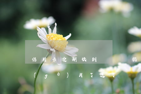 信用卡逾期收到傳喚單(招商銀行卡逾期4個(gè)月了,送了訴訟急件怎么辦)