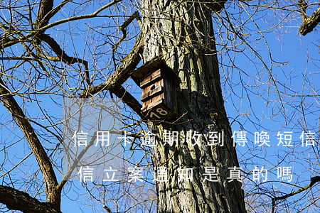 信用卡逾期收到傳喚短信(信用卡逾期收到短信立案通知是真的嗎)