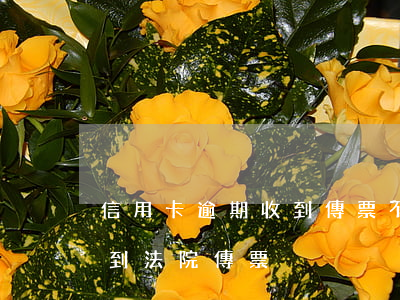 信用卡逾期收到傳票不出庭的后果 逾期后收到法院傳票