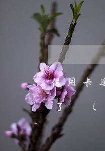 信用卡逾期收到傳票了(信用卡逾期收到傳票了,沒(méi)有按時(shí)出庭會(huì)判為失信人嗎)