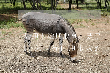 信用卡逾期收到傳票了還能協(xié)商嗎(欠銀行信用卡收到傳票)