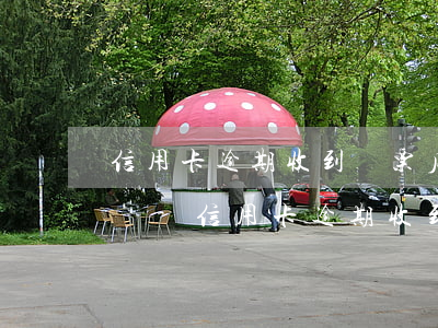 信用卡逾期收到傳票后還能協(xié)商嗎-信用卡逾期收到傳票后還能協(xié)商嗎
