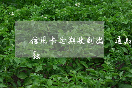 信用卡逾期收到出訪通知(信用卡逾期報送金融)