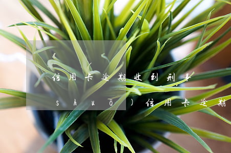 信用卡逾期收到刑事訴訟通知 收到短信說(shuō)信用卡逾期被起訴