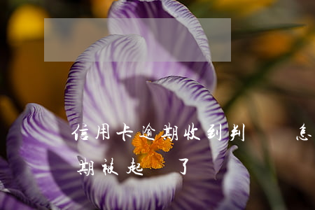 信用卡逾期收到判決書怎么處理(欠信用卡逾期被起訴了)