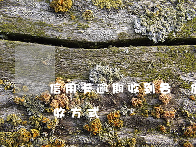 信用卡逾期收到各種催債短信(信用卡逾期催收方式)