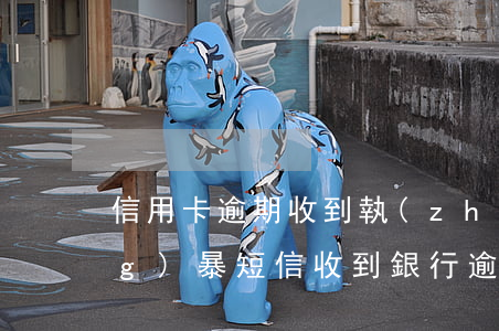 信用卡逾期收到執(zhí)行風(fēng)暴短信(收到銀行逾期信用通知短信)