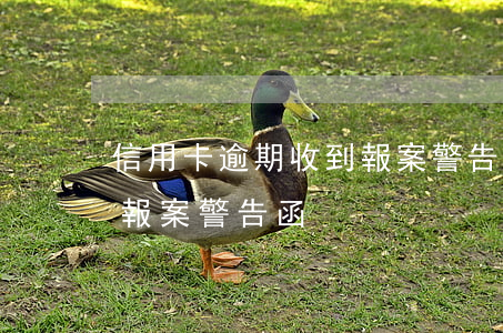 信用卡逾期收到報案警告函(信用卡逾期收到報案警告函)