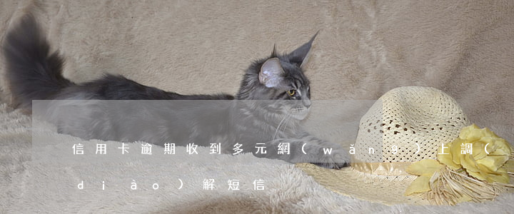 信用卡逾期收到多元網(wǎng)上調(diào)解短信