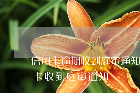信用卡逾期收到庭审通知邮件浦发-欠信用卡收到庭审通知